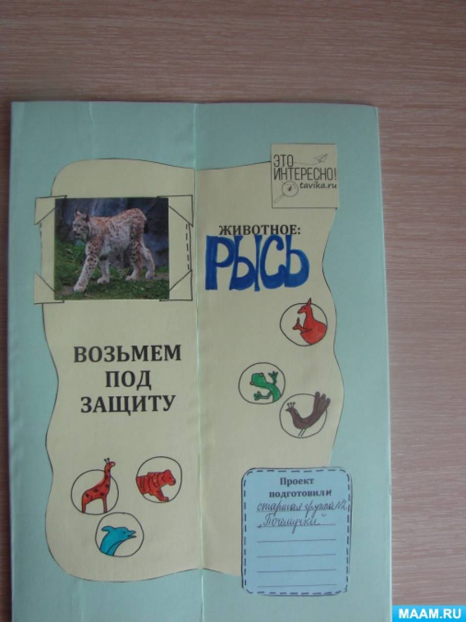 Проект Красная книга Московской области 2 класс окружающий мир-как сделать?