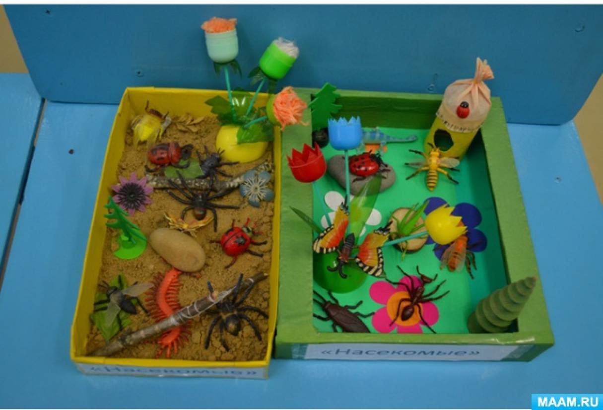 Макет муравейника своими руками в детском саду