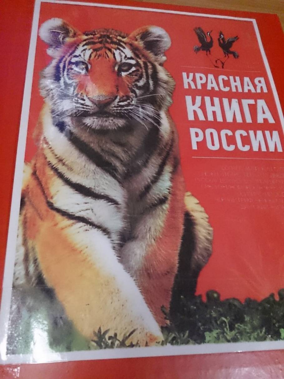 Рябчик русский красная книга фото