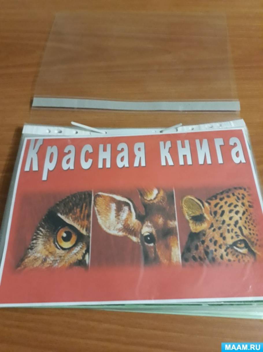 Проект красная книга в подготовительной группе