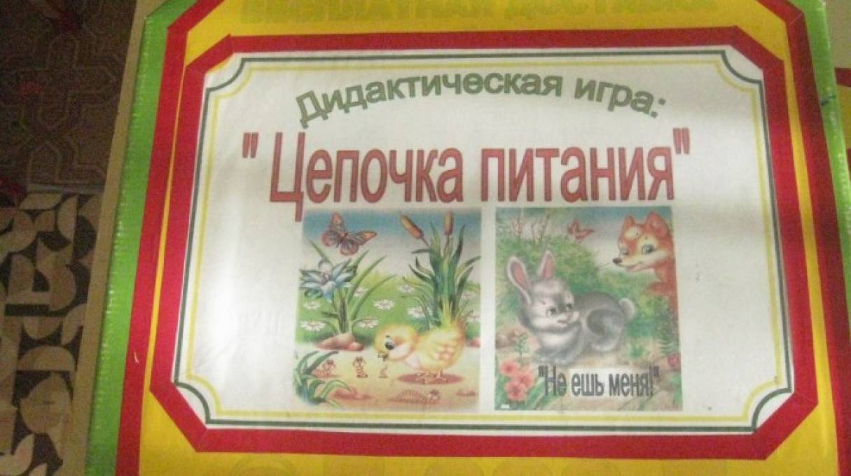 Дидактическая игра по экологическому воспитанию «Цепочка питания». (14  фото). Воспитателям детских садов, школьным учителям и педагогам - Маам.ру