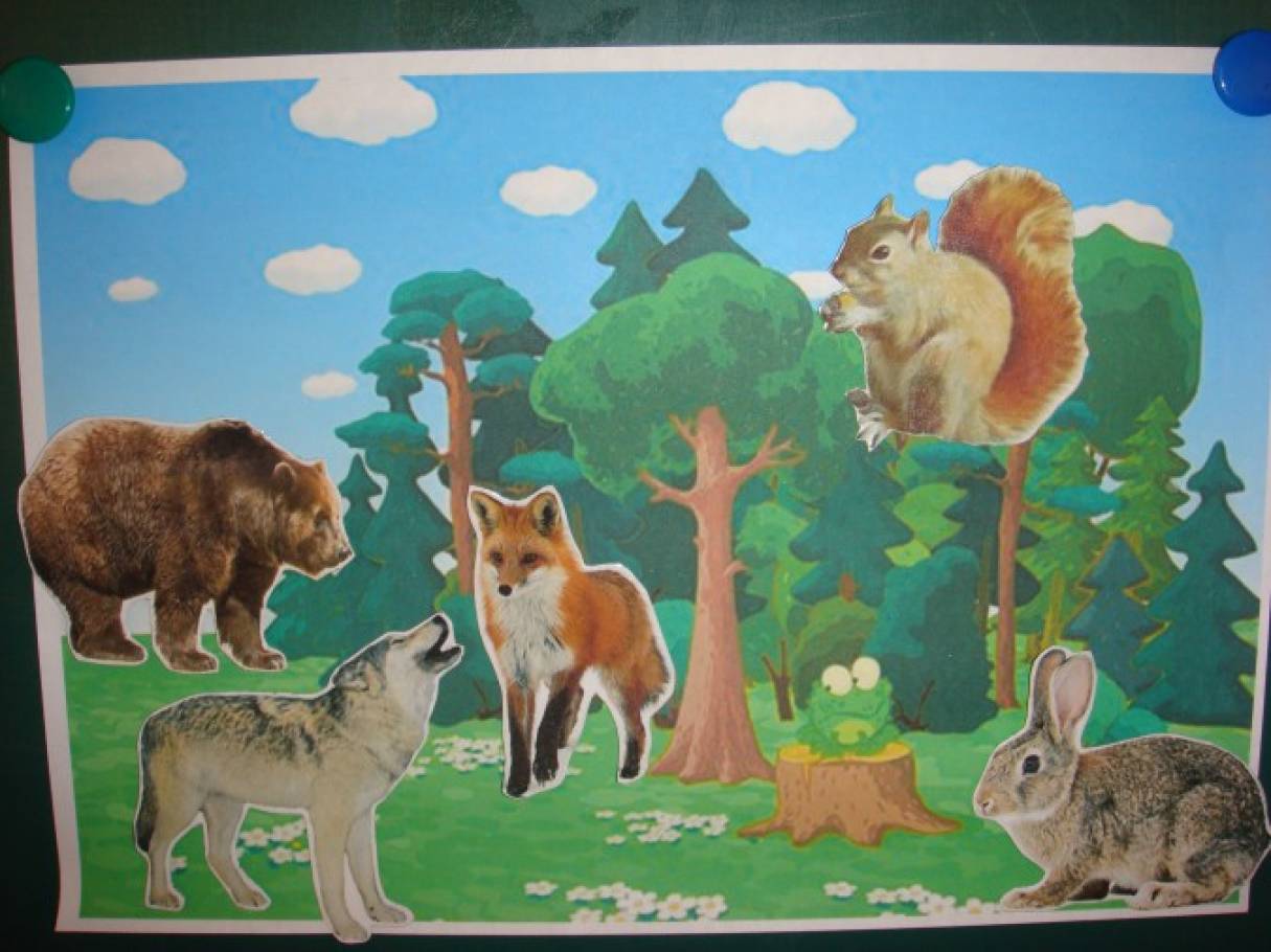 Ребенок для зверя 2. Лесные животные для малышей. Лесные животные для детского сада. Картина с изображением диких животных в лесу. Лесные животные для дошкольников.
