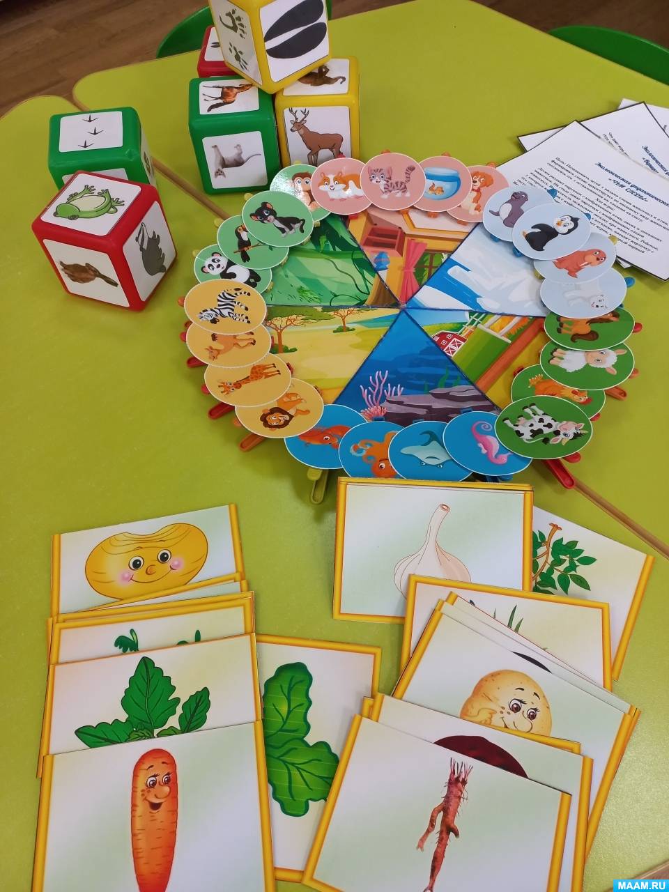 Дидактические игры по экологии в средней группе детского сада