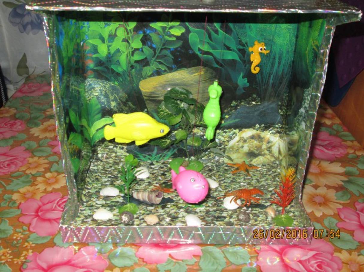 Для чего нужен аквариум в детском саду?