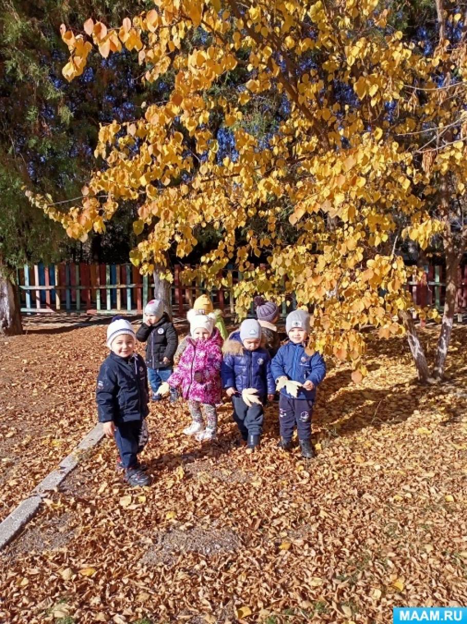 Осенние прогулки и наблюдения в младшей группе. Воспитателям детских садов,  школьным учителям и педагогам - Маам.ру