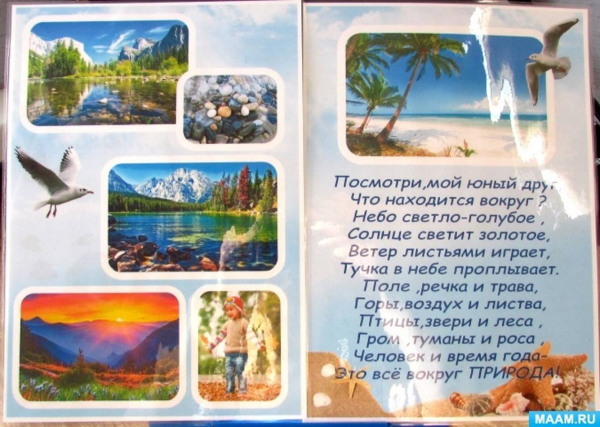 Ознакомление детей дошкольного возраста с живой и неживой природой» (9  фото). Воспитателям детских садов, школьным учителям и педагогам - Маам.ру