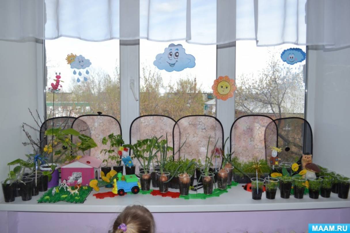 Огород в доу отчет. Проект во воторой младшей группе "огород на окне". Огород на окне в детском саду. Сад на окне в детском саду. Огород на подоконнике украшения.