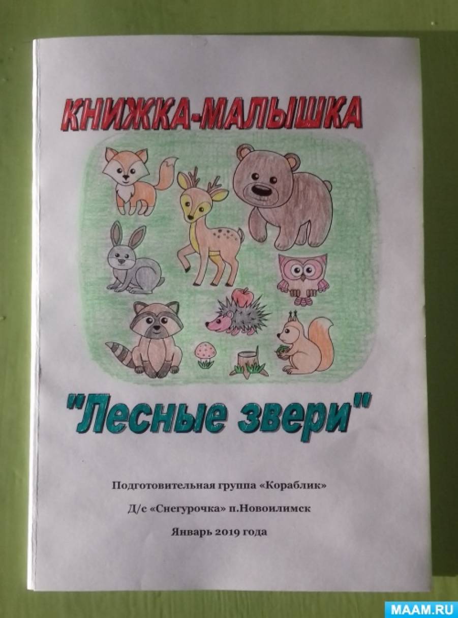 Лэпбук «Зимующие и перелётные птицы»: стимулируем интерес детей к природе