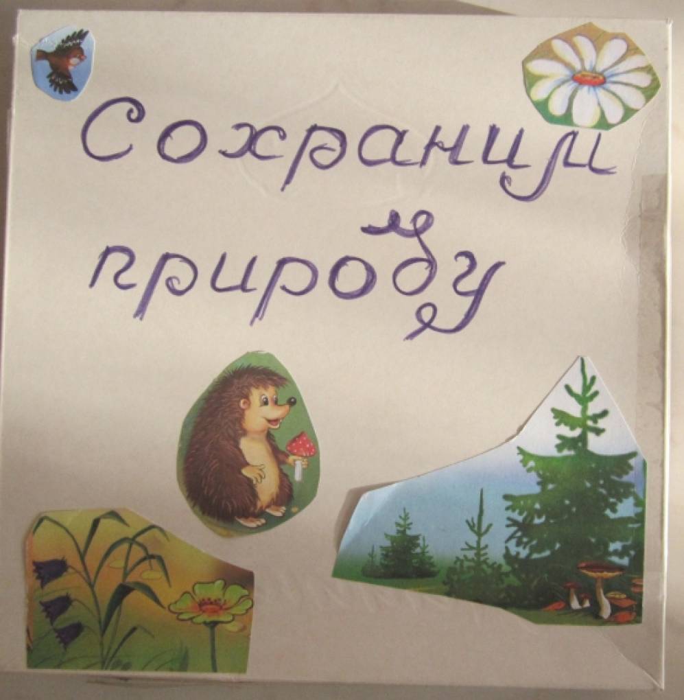 Экология, защита природы. Дидактические игры и пособия - Лучшее.  Воспитателям детских садов, школьным учителям и педагогам - Маам.ру