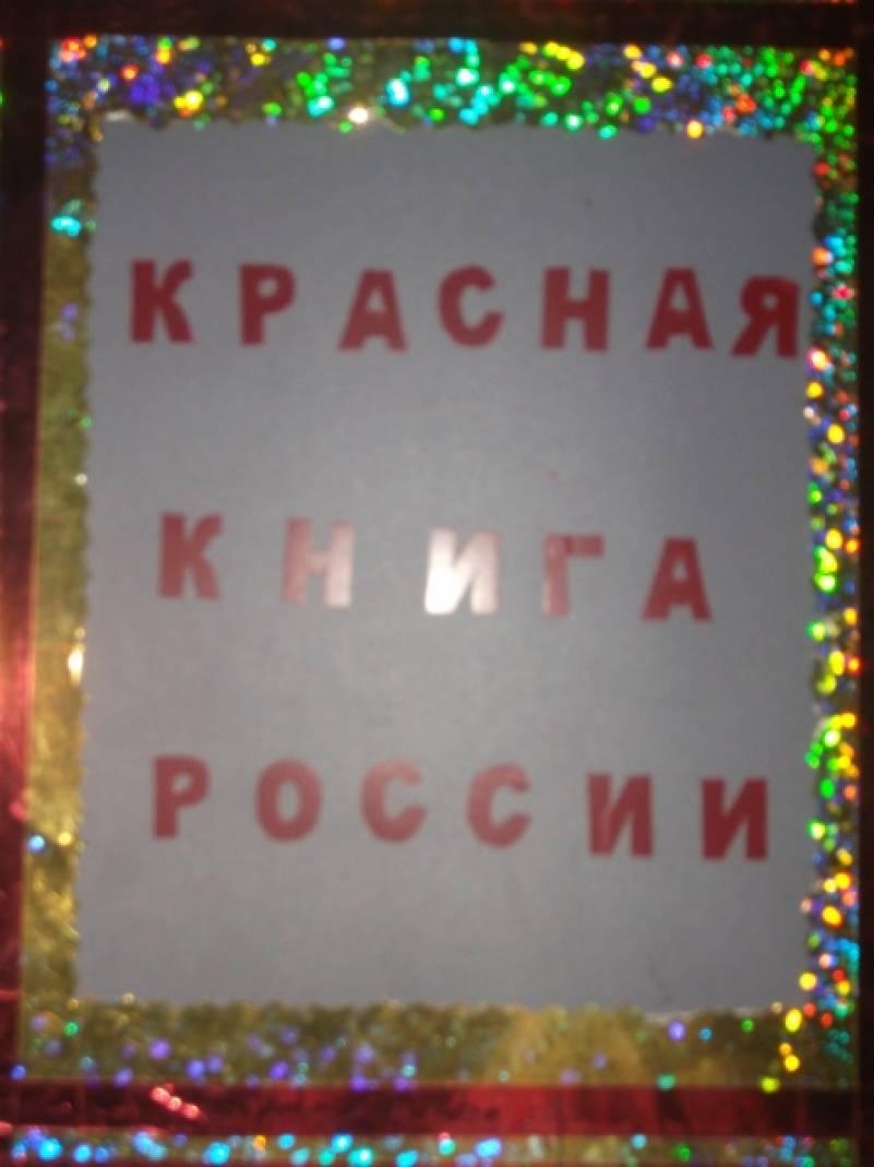 Проект красная книга россии 7 класс