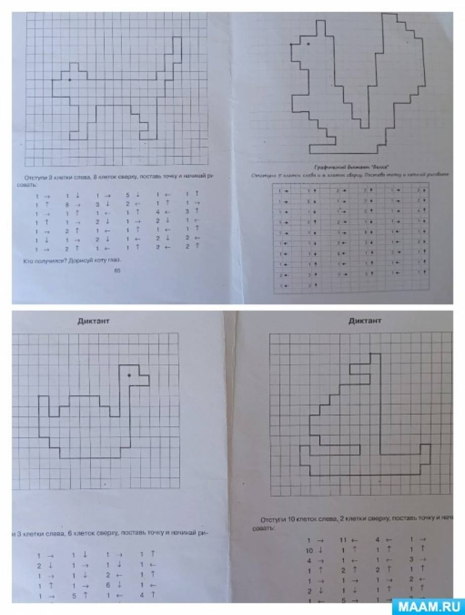 Лицо по клеточкам