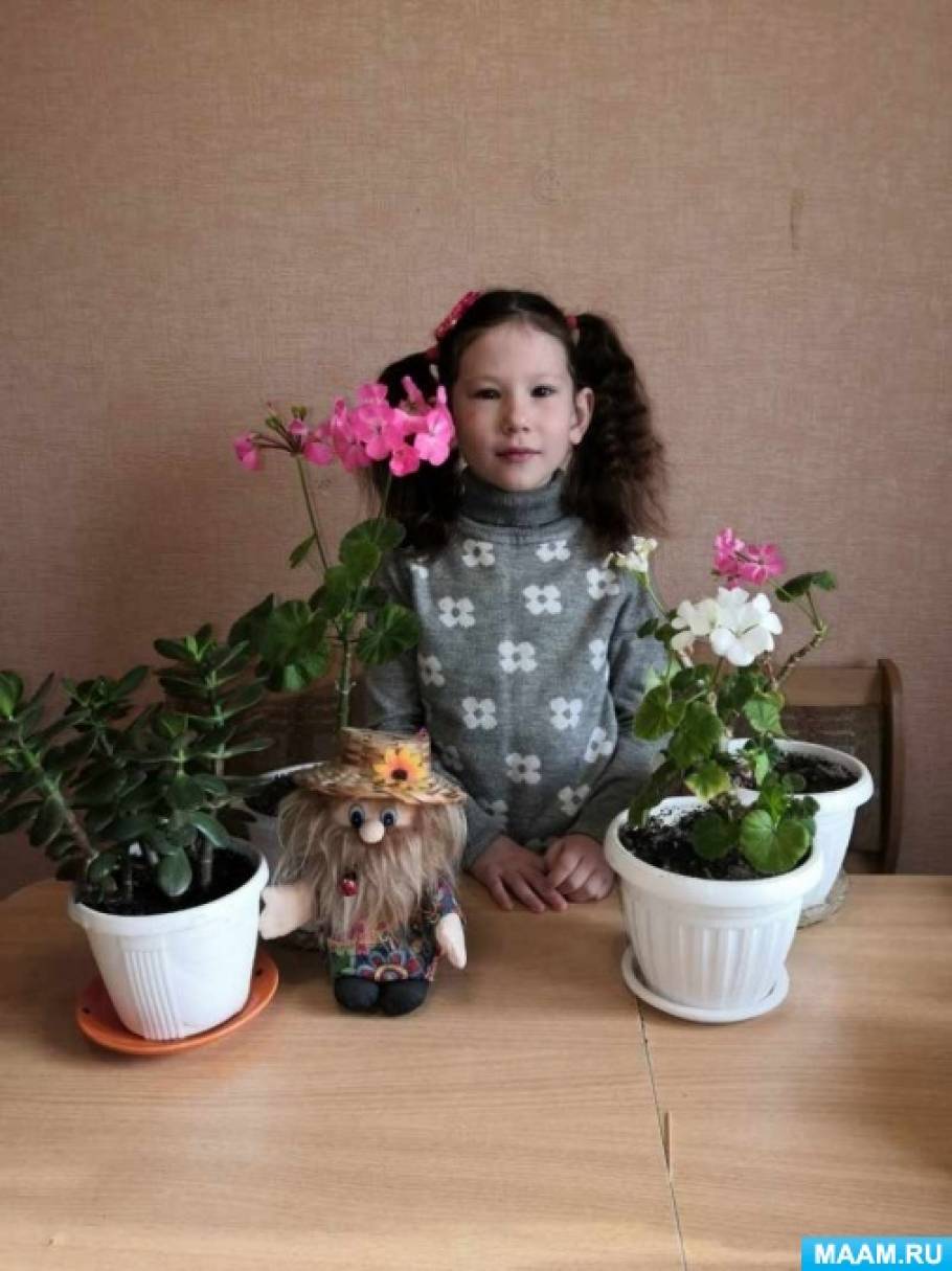 Каталог комнатных растений с фото и названиями на Glav-Dacha.ru