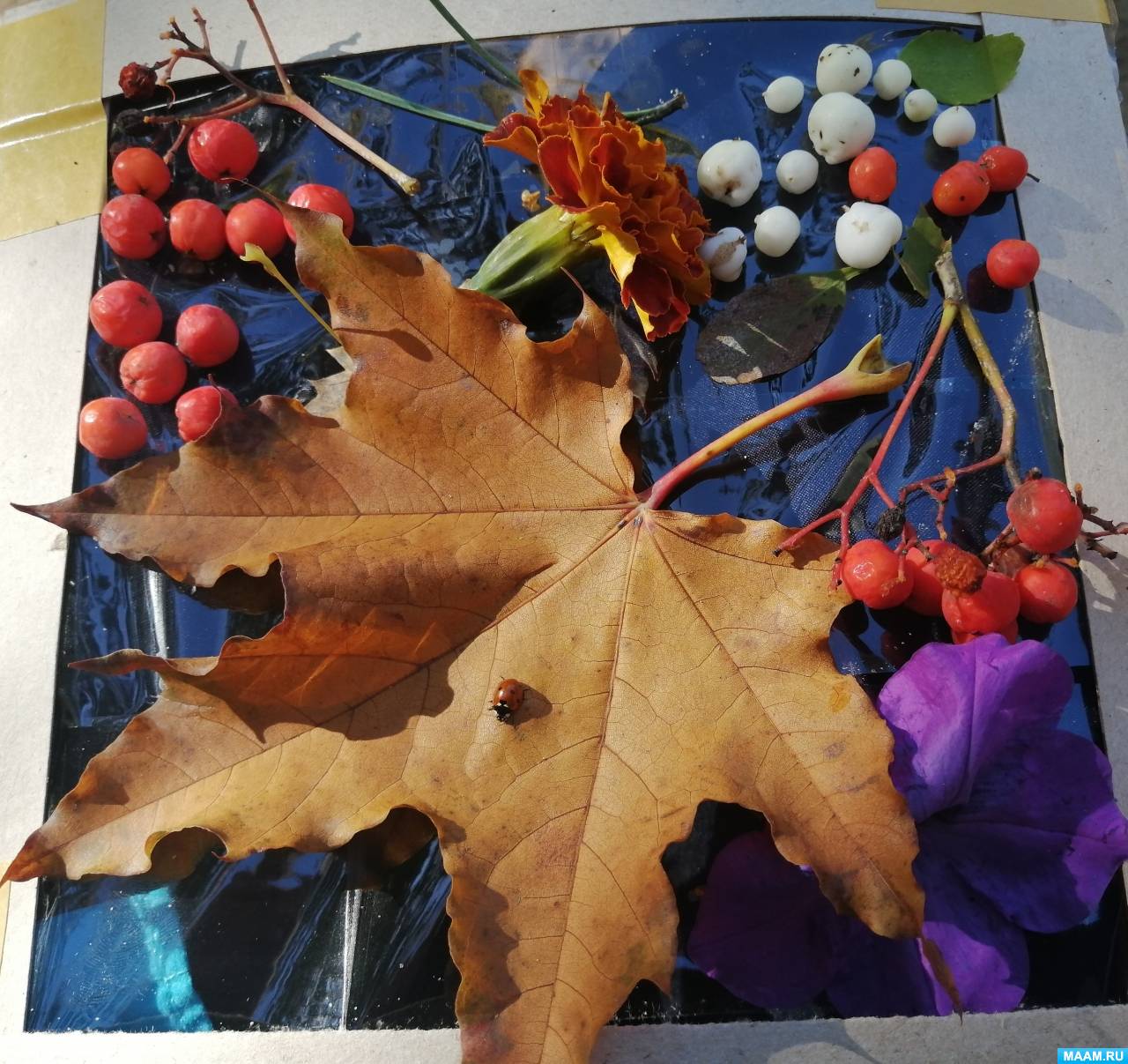 Осенняя композиция: создаём уют в доме своими руками (90 фото)