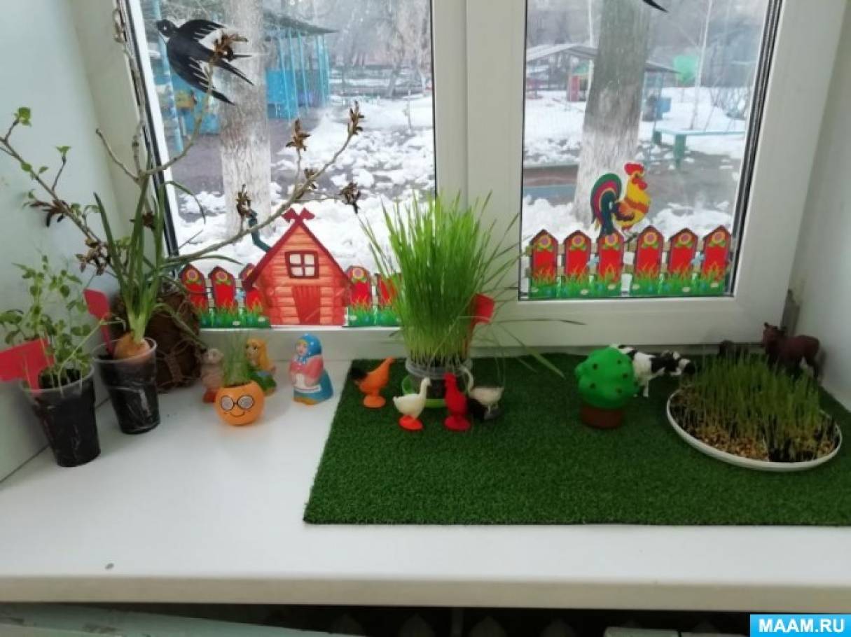 Проект огород на окне в детском саду