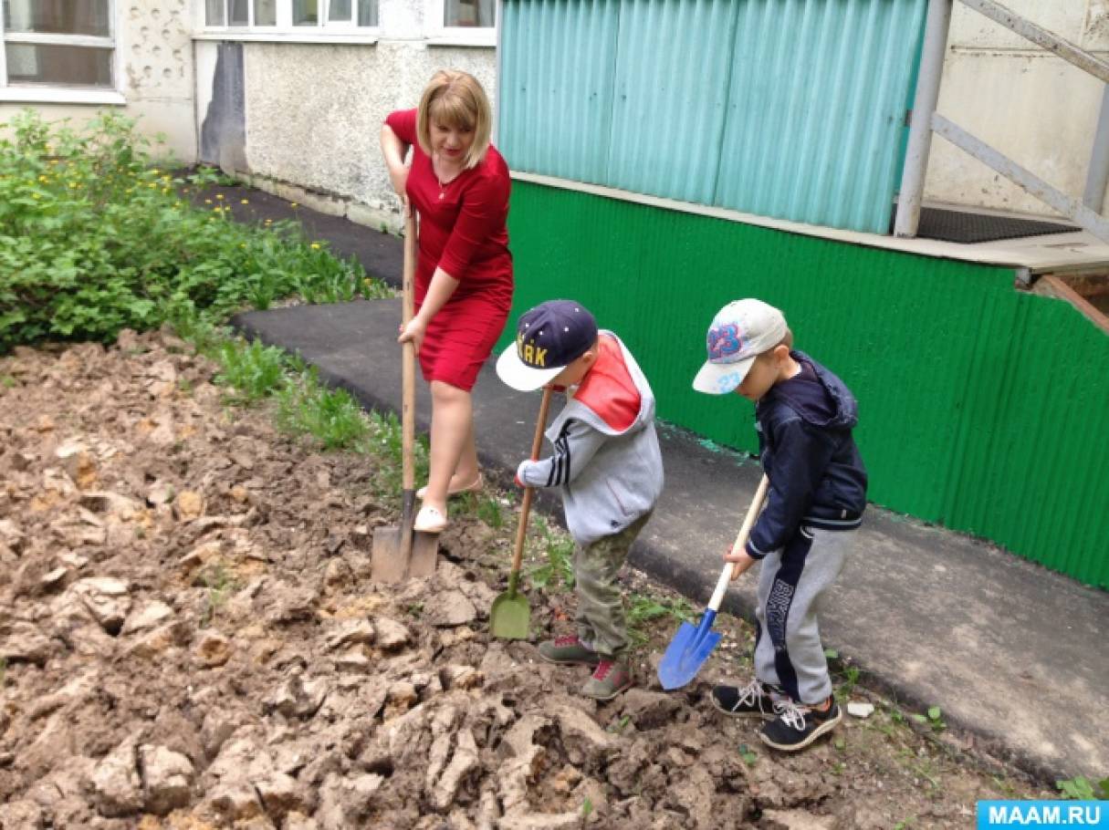 Как выбрать капельный полив для сада и огорода | Практик