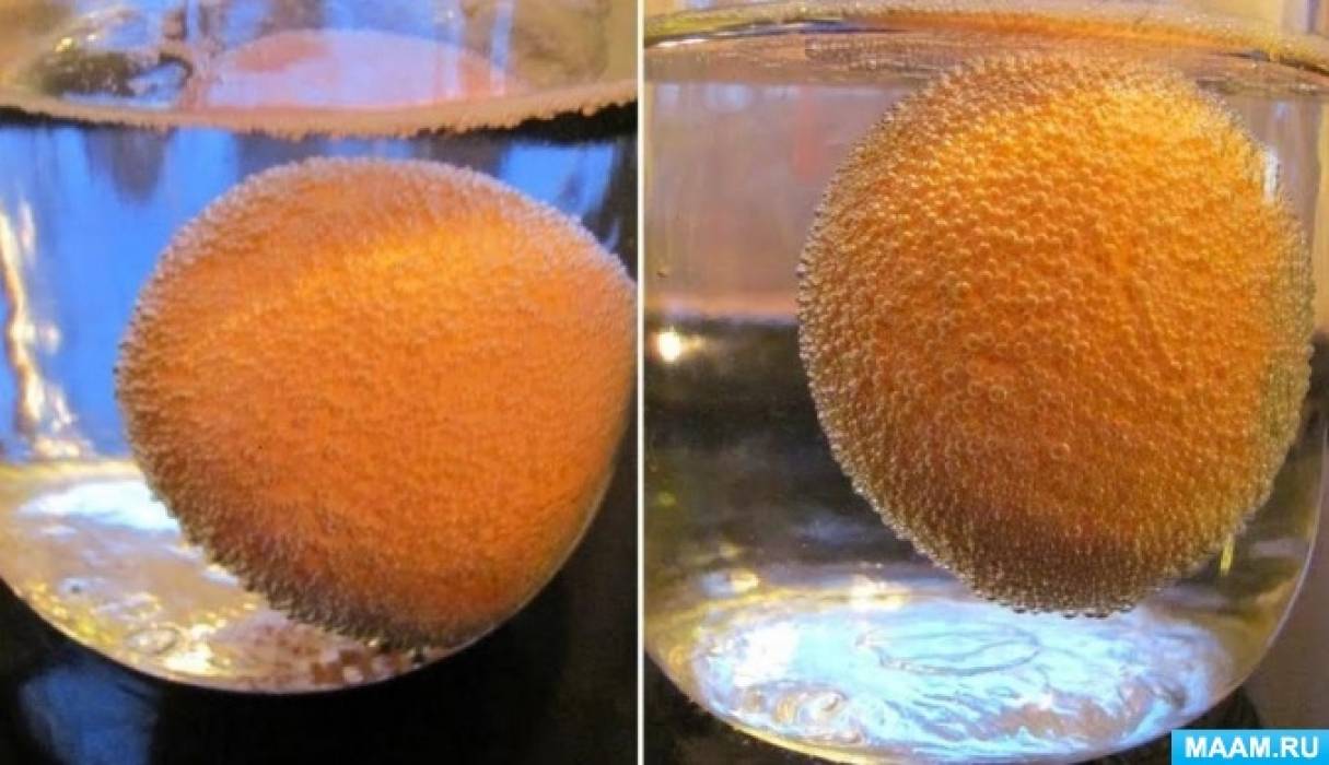 Яйцо поместить в воду. Опыт с яйцом. Эксперимент с апельсином. Опыты с яйцом для детей. Химические опыты с апельсином.