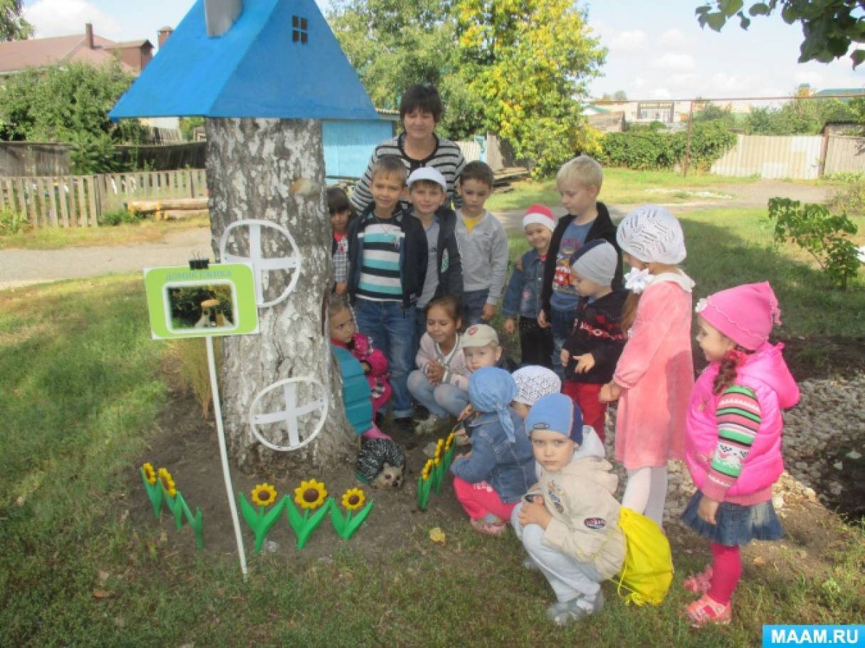 Экологическая тропа в детском саду в фото