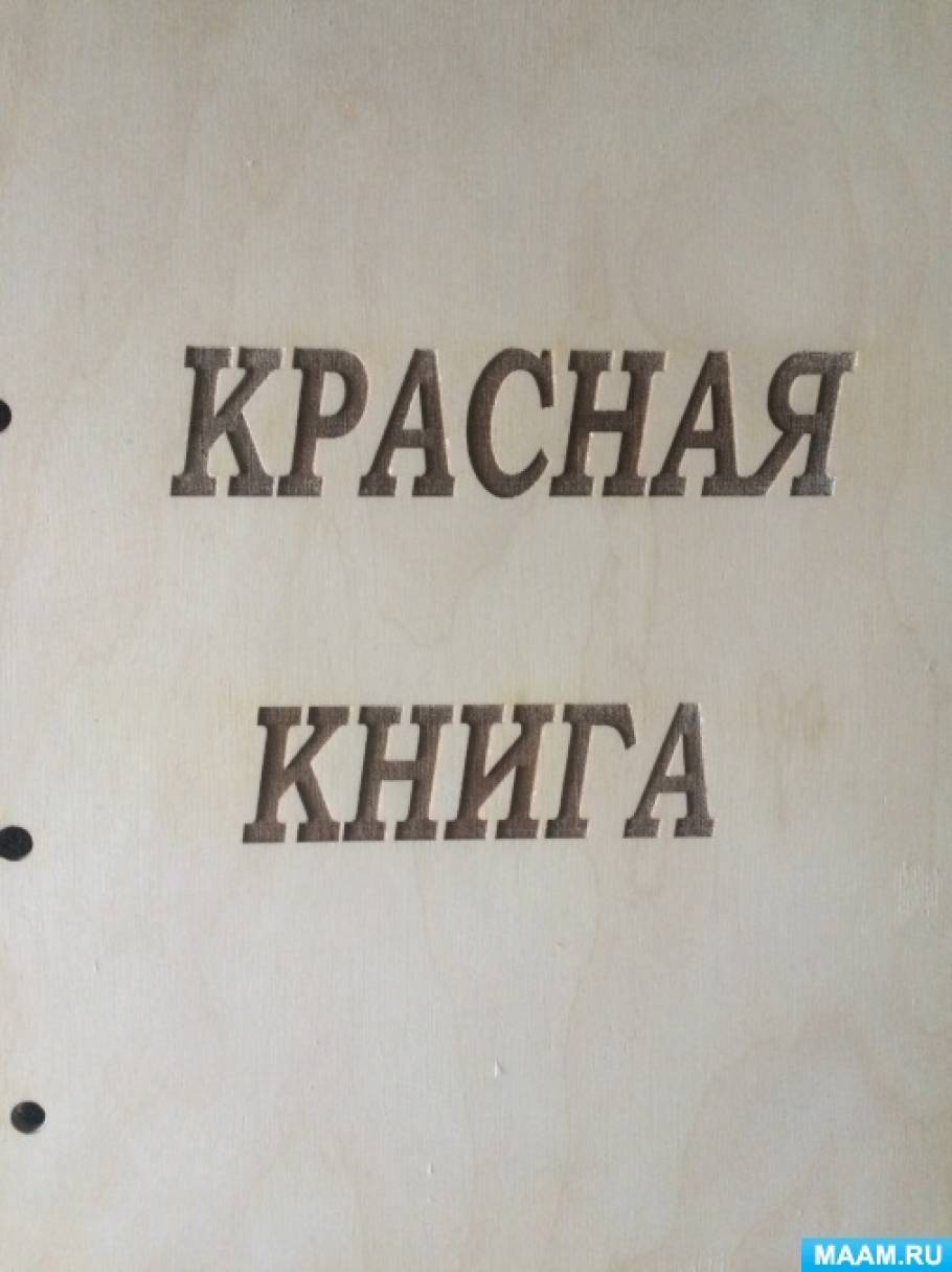 Как сделать лэпбук «Красная книга России» для дошкольников