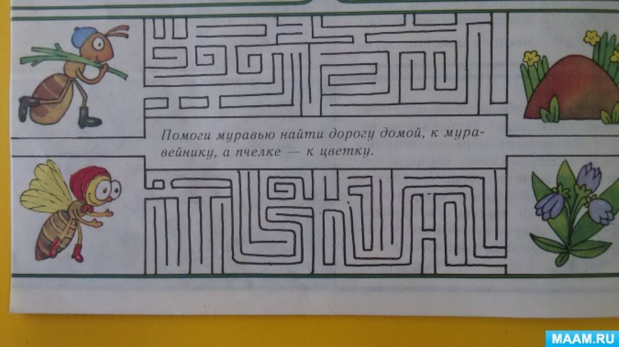 Методическая разработка по теме «Насекомые» (12 фото). Воспитателям детских  садов, школьным учителям и педагогам - Маам.ру