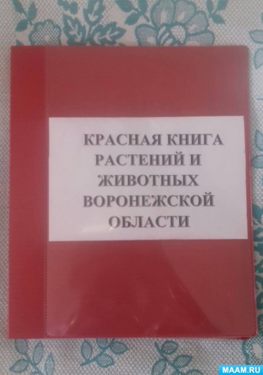 В мире растений. Игры, дидактические пособия. Воспитателям детских садов,  школьным учителям и педагогам - Маам.ру