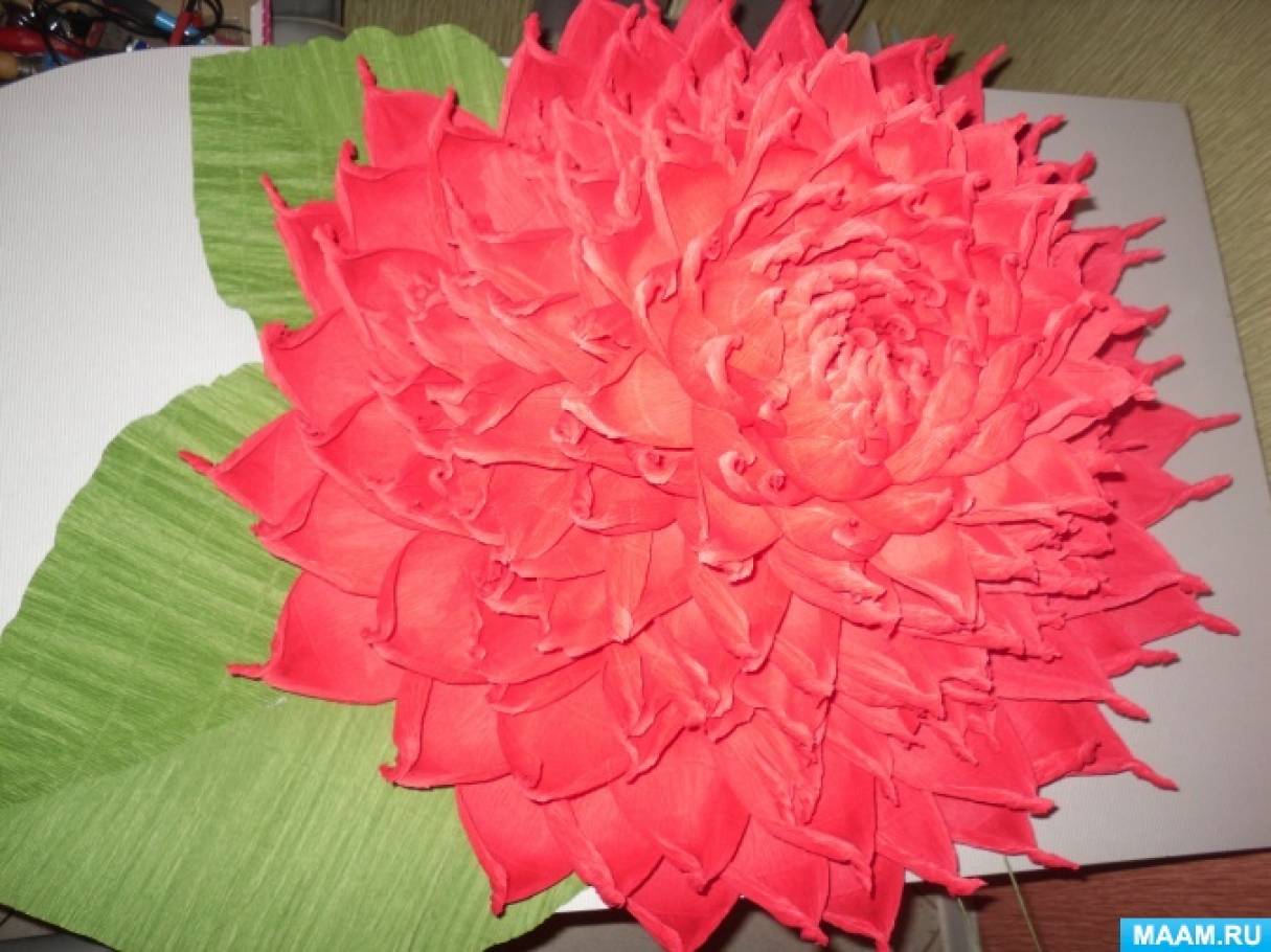 Цветы из гофрированной бумаги - Большие цветы