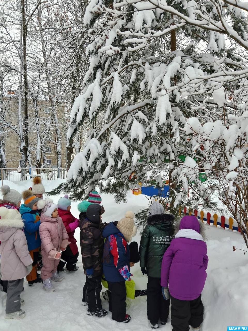 Зимние прогулки и наблюдения в старшей группе. Воспитателям детских садов,  школьным учителям и педагогам - Маам.ру