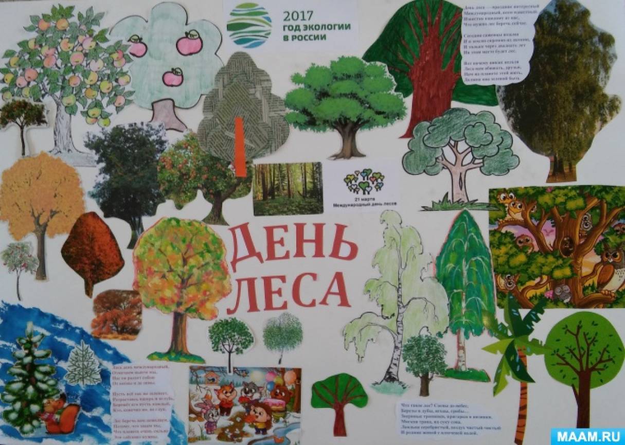 Стенгазета к Международному Дню леса «День леса» (16 фото). Воспитателям  детских садов, школьным учителям и педагогам - Маам.ру