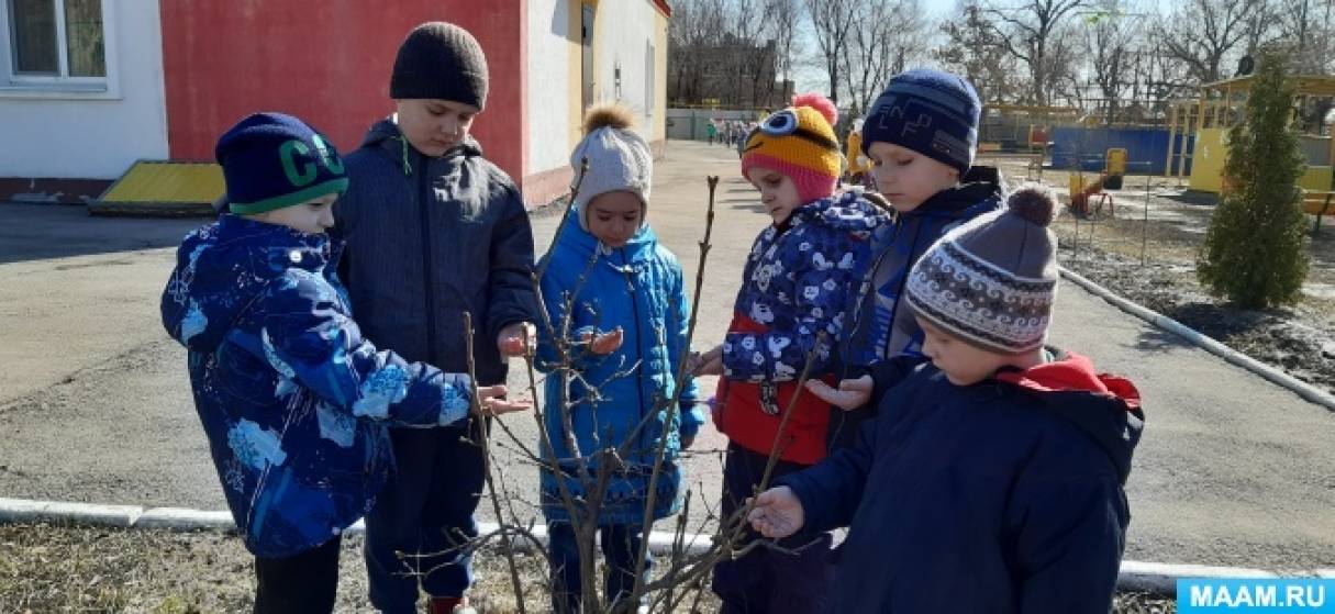 Конспект весенней прогулки