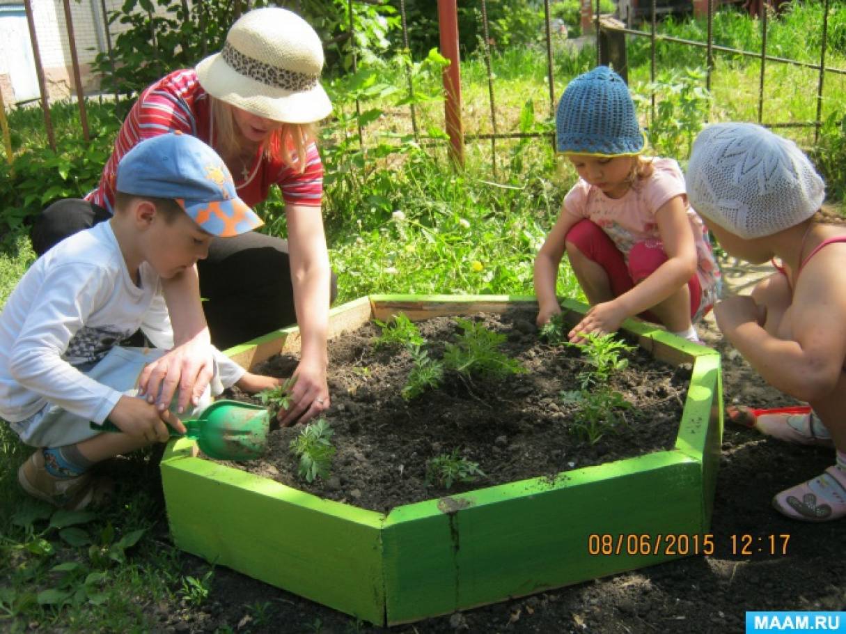 Проект «Юные исследователи природы» (4 фото). Воспитателям детских садов,  школьным учителям и педагогам - Маам.ру