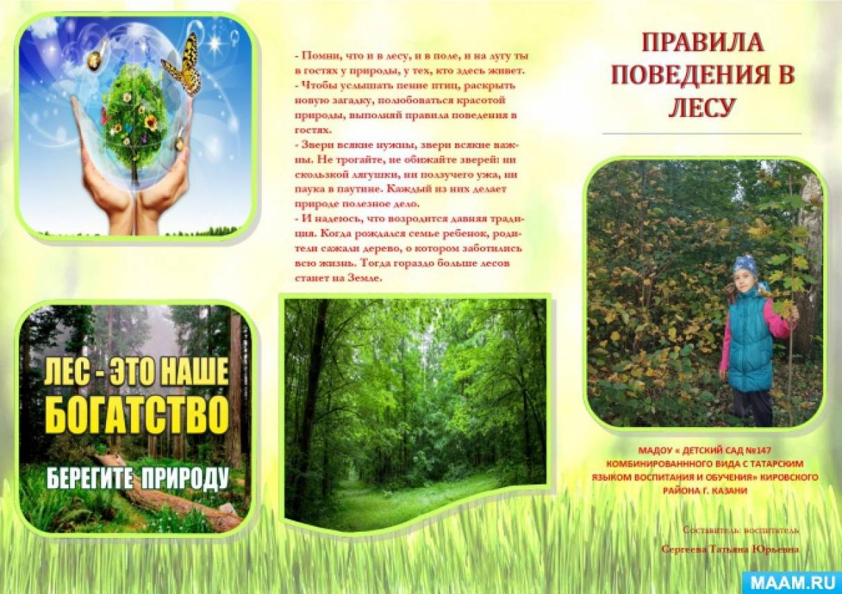 Правила поведения на природе во время отдыха, меры безопасности в лесу