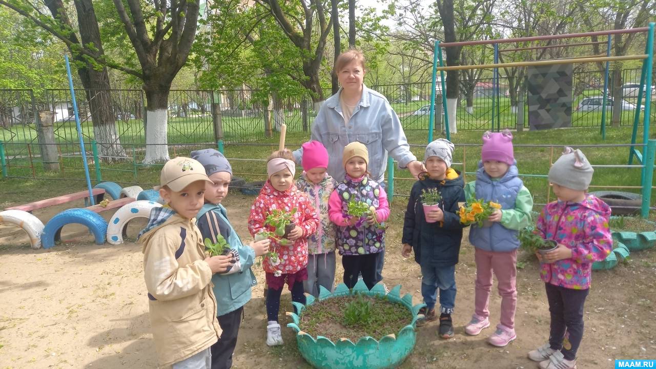 Посадка и выращивание растений в средней группе. Воспитателям детских  садов, школьным учителям и педагогам - Маам.ру