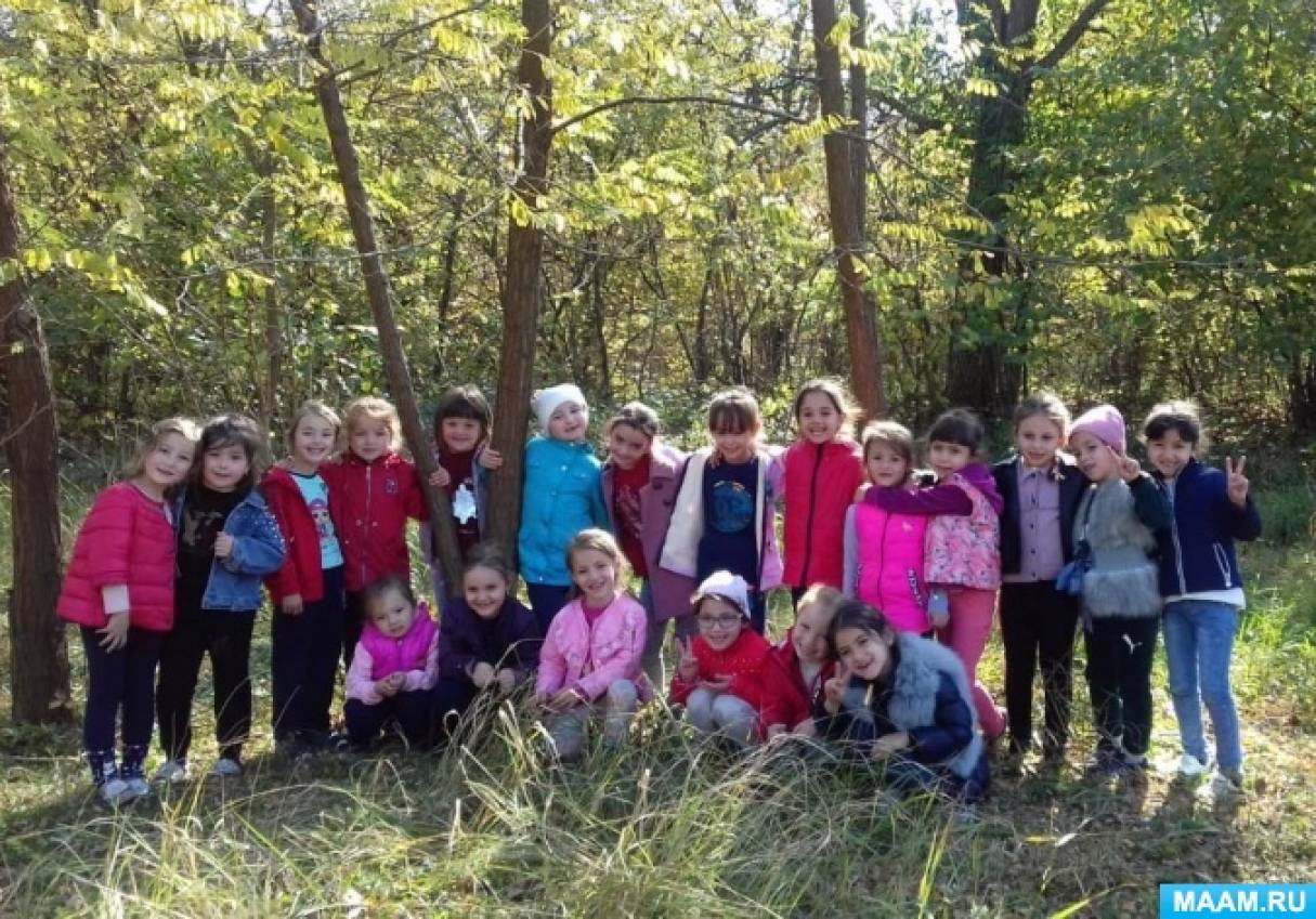 Конспект НОД «Экскурсия в осенний лес» (16 фото). Воспитателям детских  садов, школьным учителям и педагогам - Маам.ру