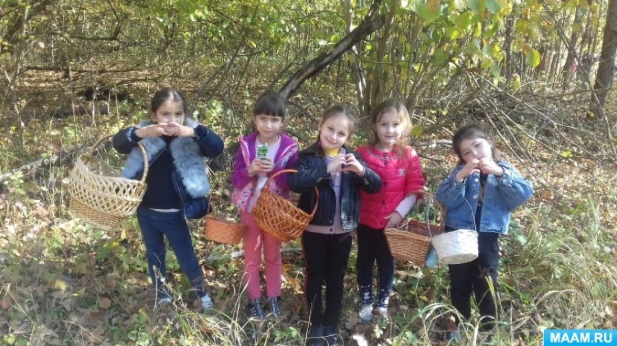 Конспект НОД «Экскурсия в осенний лес» (16 фото). Воспитателям детских  садов, школьным учителям и педагогам - Маам.ру