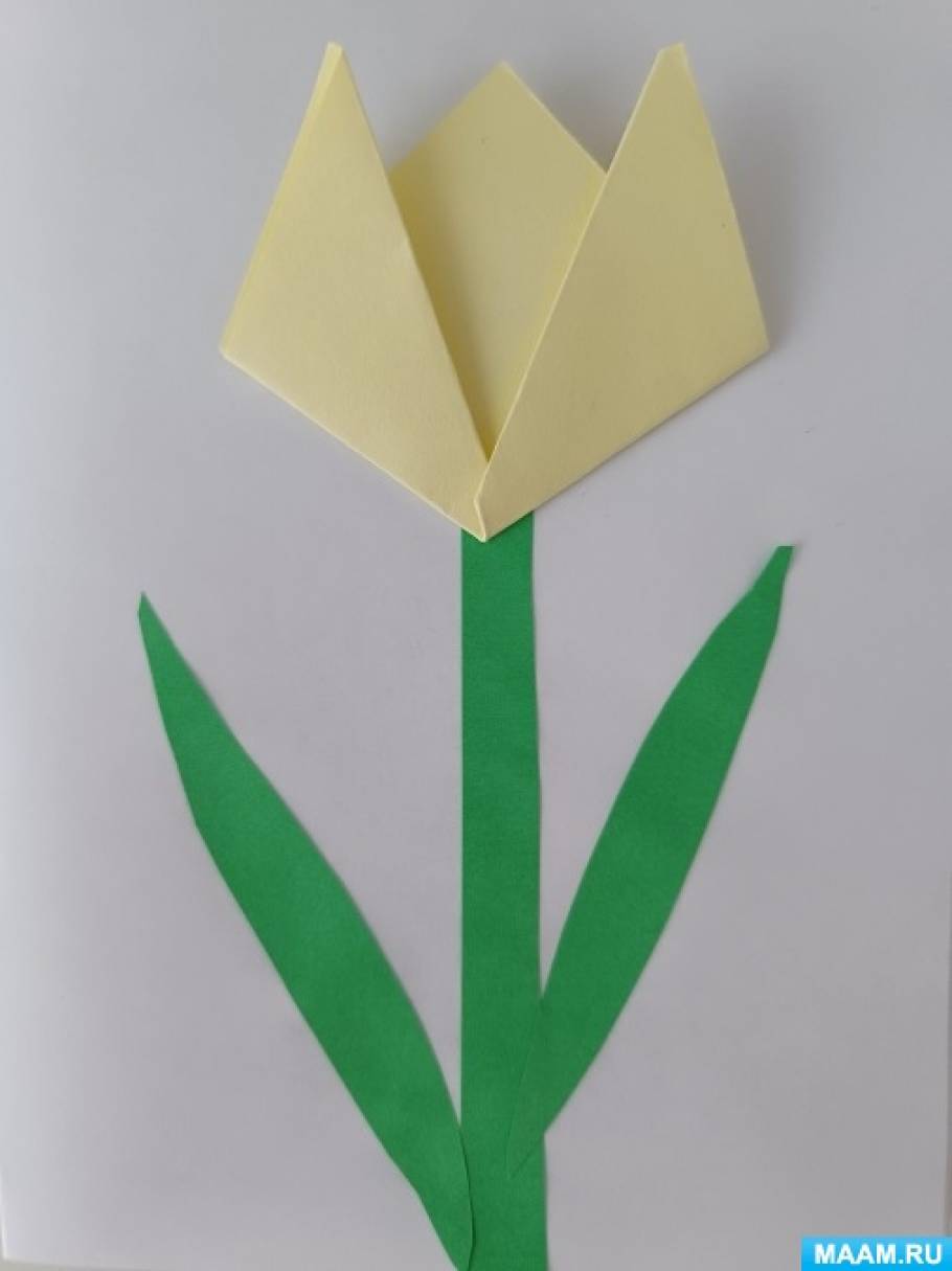Как сделать тюльпан из бумаги? Учимся легко и быстро делать тюльпаны своими руками