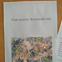 Календарно-тематическое планирование в старшей группе на тему недели «Животный мир»