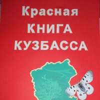 Конспект занятия «Растения моего края» по ДОП «Эколята»