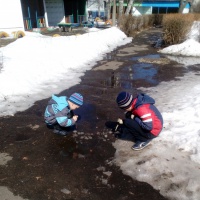 Кроты в огороде