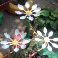Фото по клику цветов из одноразовых ложек: