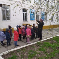 Конспект прогулки «Наблюдение за березой весной» в средней группе