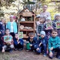 Одним из направлений работы с детьми в детском саду является формирование экологического миропонимания