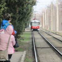 Если ребенок кусается