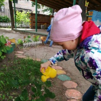 Природу нельзя изучать по картинкам и фотографиям даже самого лучшего качества