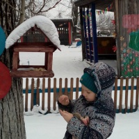 Фотоотчёт «Как мы заботимся о птицах»