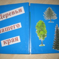 Экологический лэпбук «Деревья нашего края» во второй младшей группе