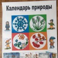 Календарь природы своими руками для первой младшей группы. Мастер-класс