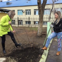 Фотоотчет «Наши добрые дела. Акция «Посади дерево»