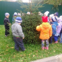 Уголок природы в средней группе детского сада