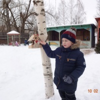 Организация и проведение подкормки зимующих птиц