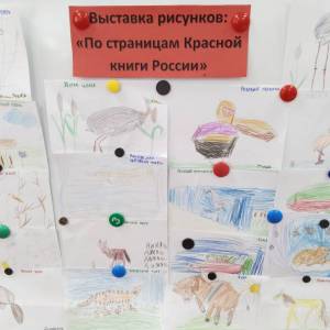 Фотоотчет о проведении занятия к Всемирному Дню Красной книги с детьми старшего дошкольного возраста