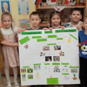 Творческий проект «Лук от семи недуг» в подготовительной группе